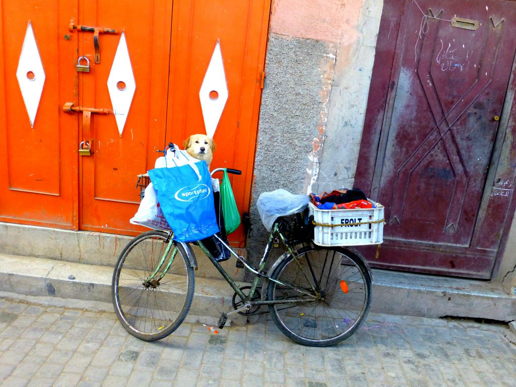 Biking in Marrakesh Biking in Marrakesh
