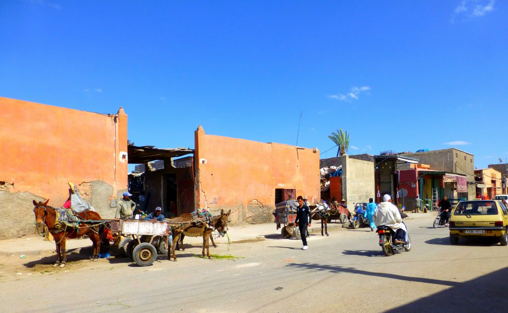 Biking in Marrakesh Biking in Marrakesh
