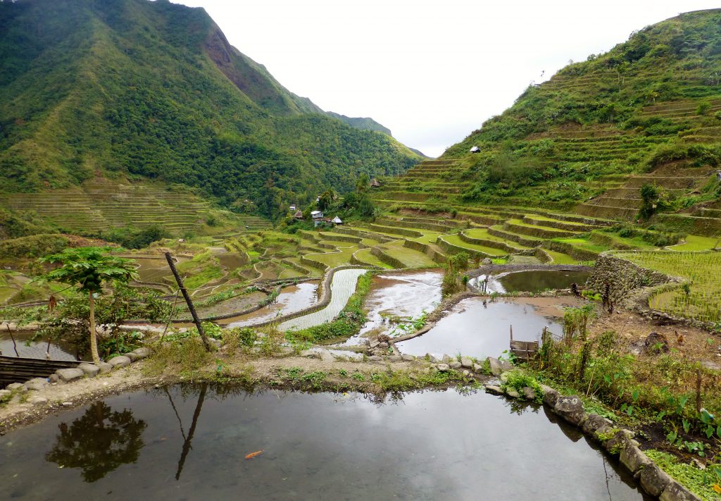 Ancient Old Rice Terraces of Banaue, The Phillipines