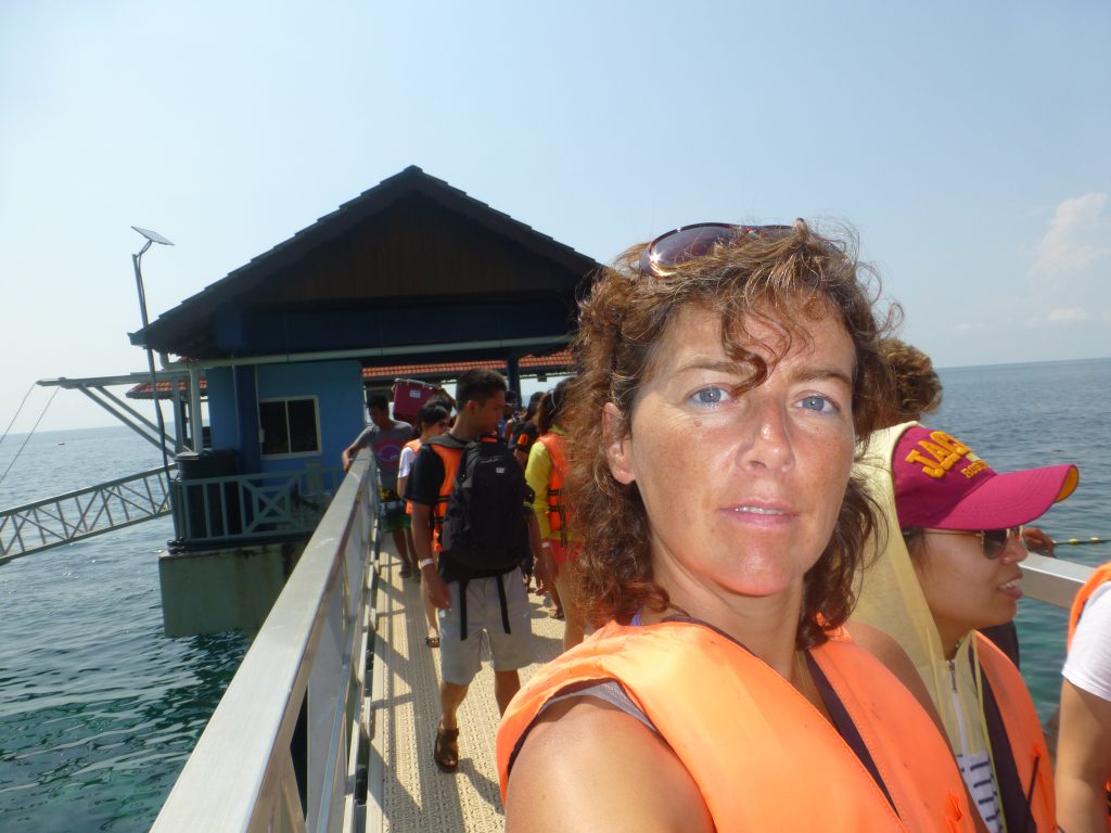 Snorkeling with the Blacktip Reef Shark - Pulau Payar