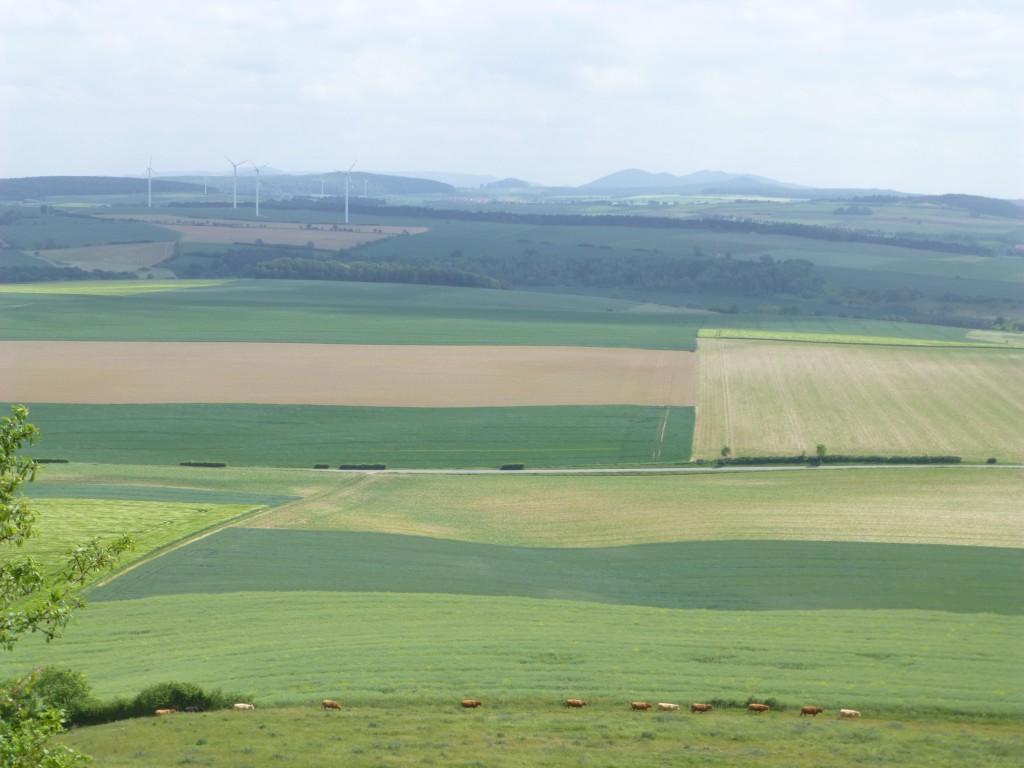 View landscape Desenberg