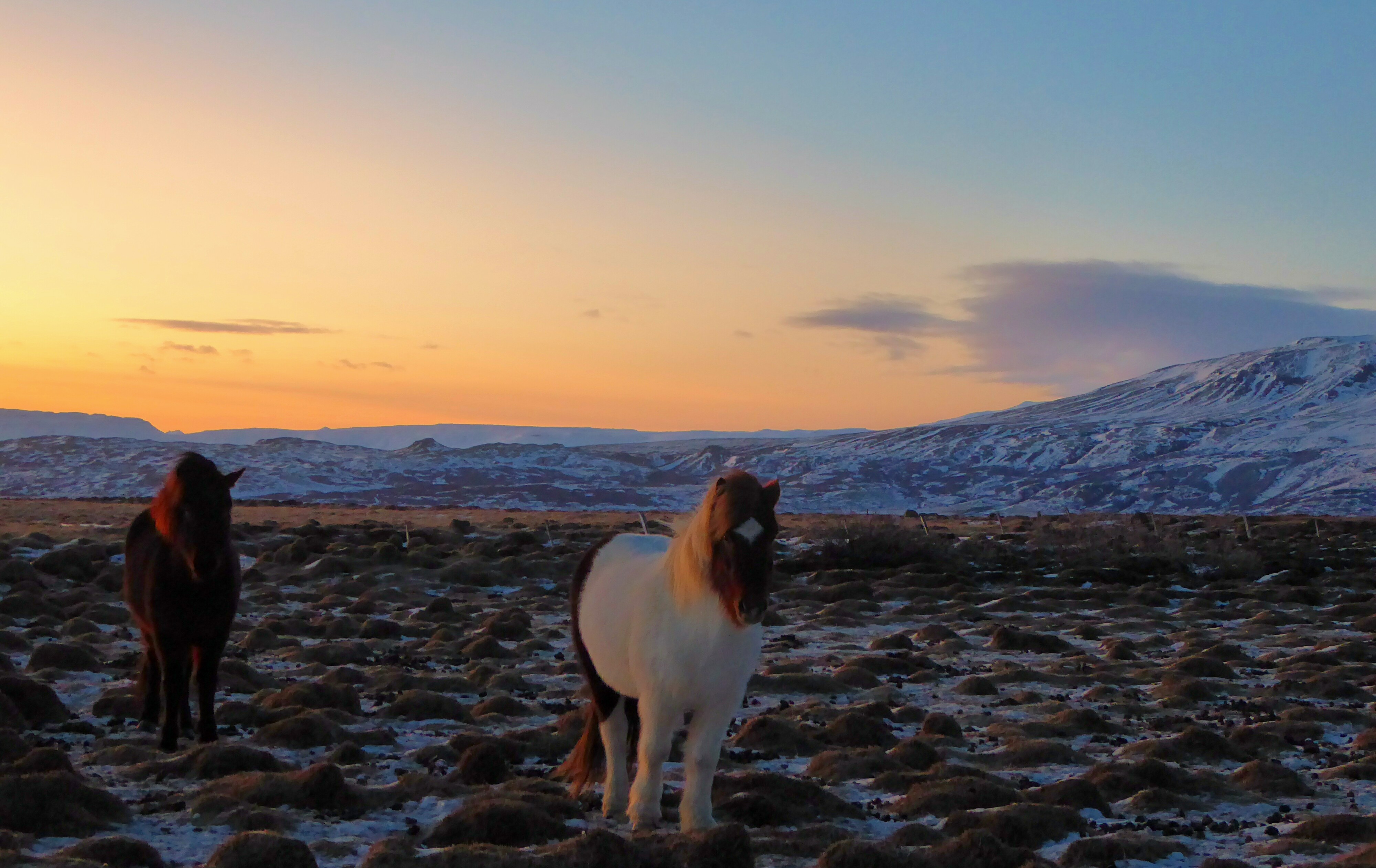 Roadtrip IJsland - 4 dagen op pad Roadtrip Iceland