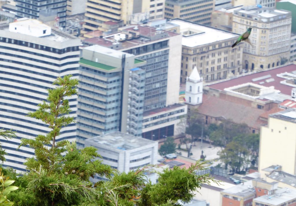 Bogota gezien vanaf Mount Monserrate