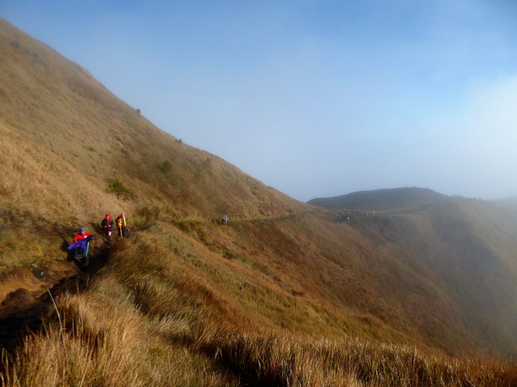 Hiking to the Summit of Mt Pulag
