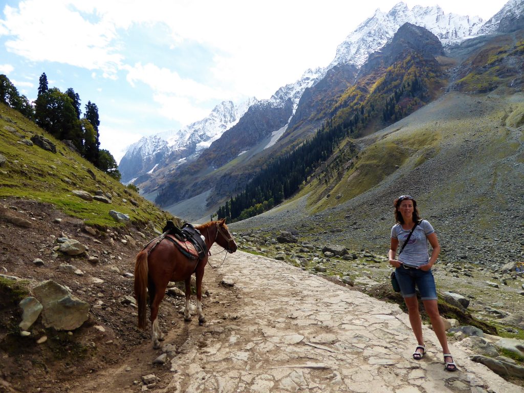 Lopend of op de rug van het paard - Thajiwas Gletsjer, Sonamarg - Kashmir - Noord India