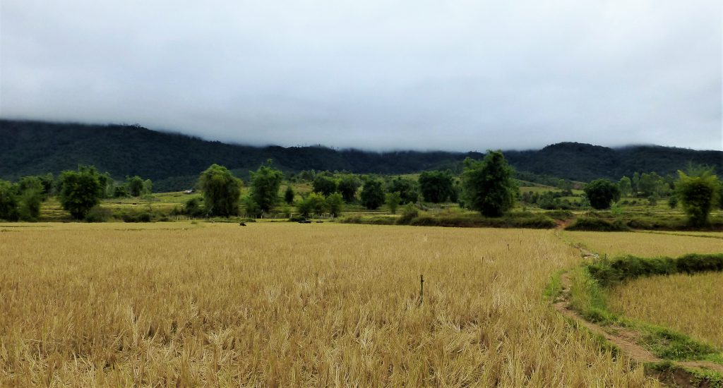 The Mysterious Plain of Jars