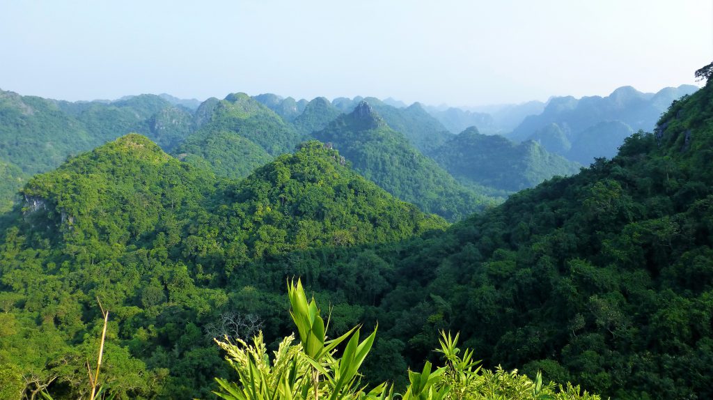 My first trip at Halong Bay & Cat Ba Island, Vietnam