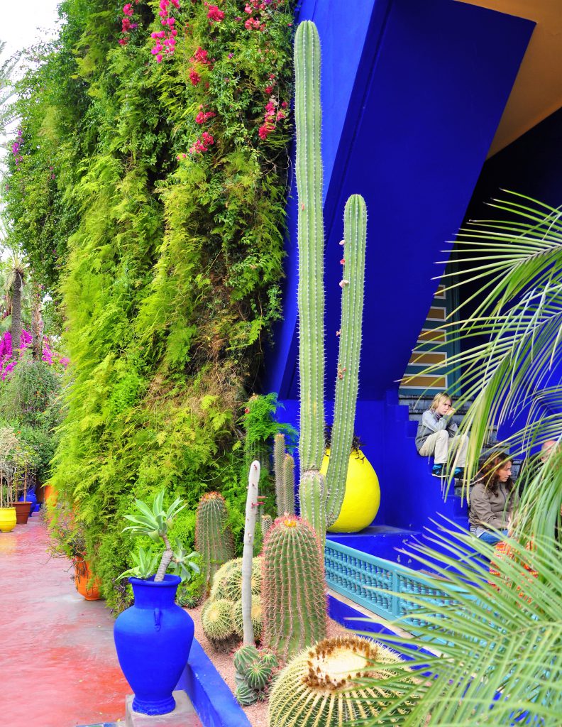 Jardin Majorelle Marrakesh