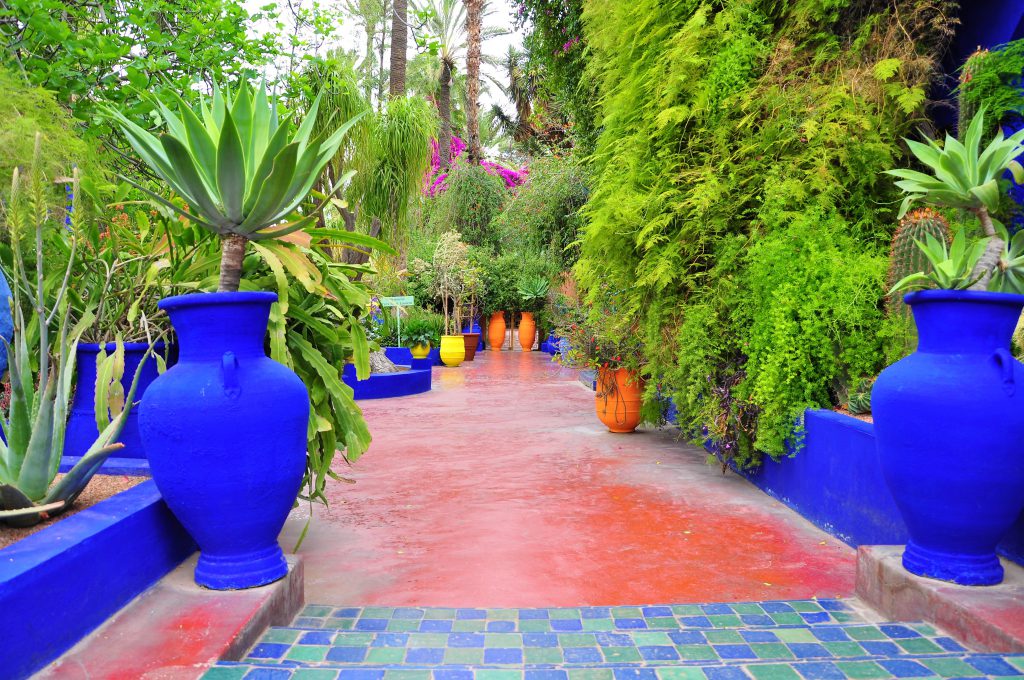 Jardin Majorelle Marrakesh
