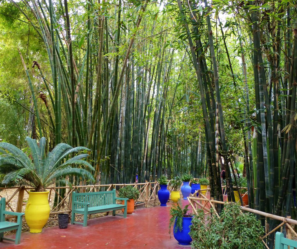 Jardin Majorelle Marrakesh