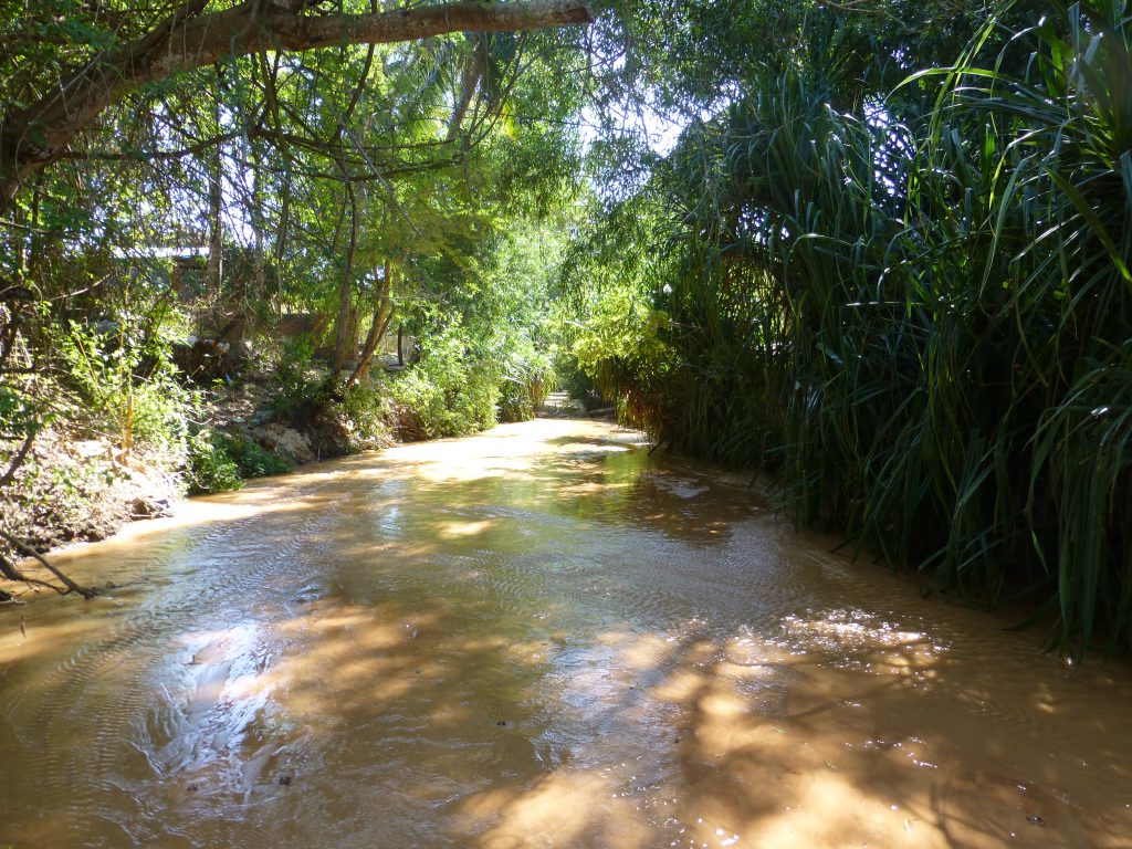 Fairy Stream and Sand Dunes - Mui Ne