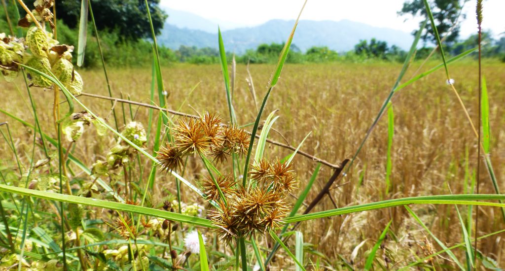 Tuben in Vang Vieng? Laos