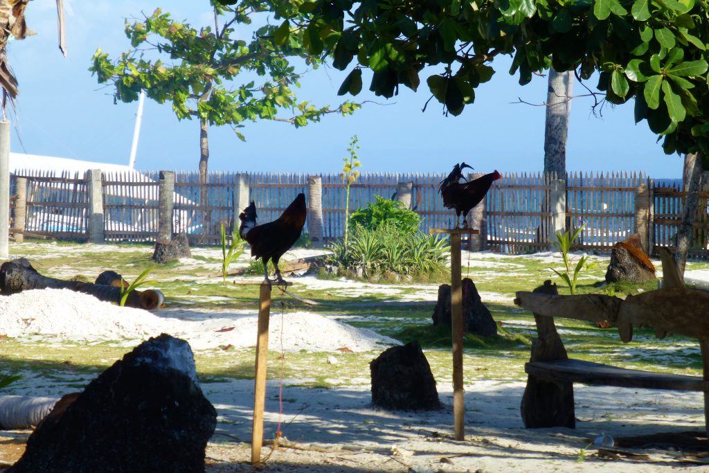 The desastrous results of the tyfoon Haiyan, Malapascua. Cebu -Phillipines