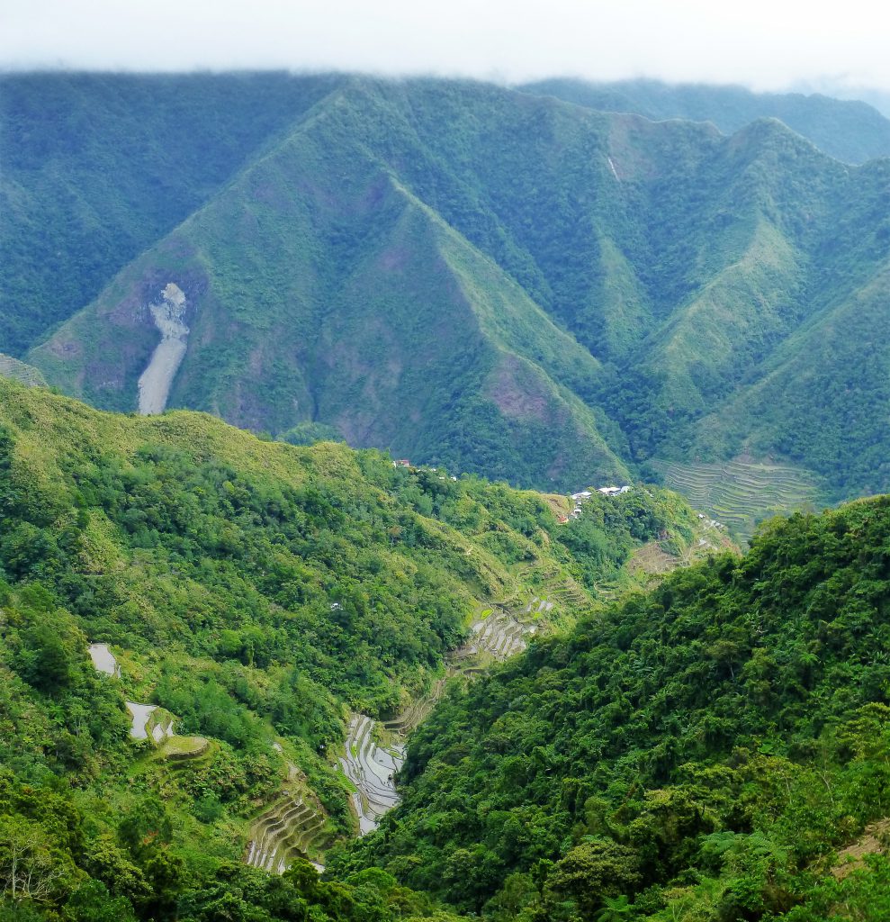 De Eeuwenoude Rijstterrassen van Banaue / Batad en Hapao - De Filipijnen
