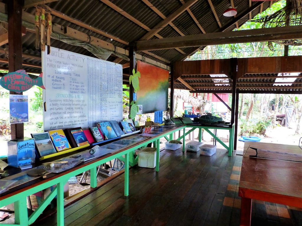 Juara Turtle Project - Tioman Island, Malaysia