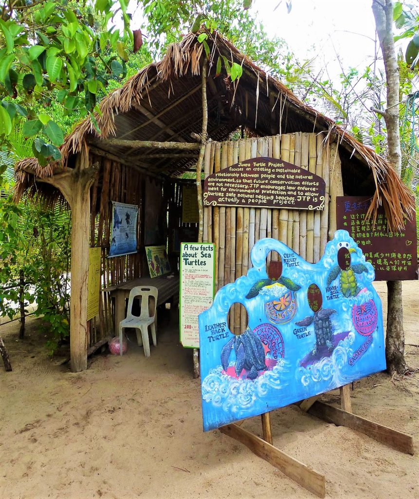 Vrijwilligerswerk tijdens je backpackreis. Ik ging werken bij het Juara Turtle Project op Tioman Island - Maleisië