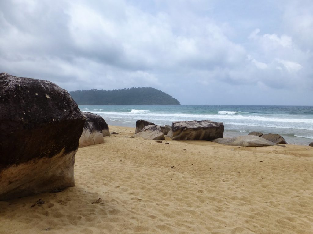 Juara Turtle Project - Tioman Island, Malaysia