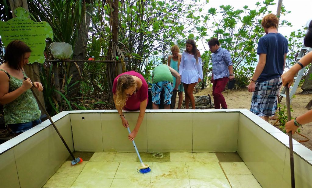 Juara Turtle Project - Tioman Island, Malaysia