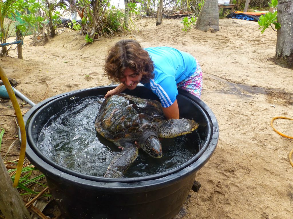 Juara Turtle Project - Tioman Island, Malaysia