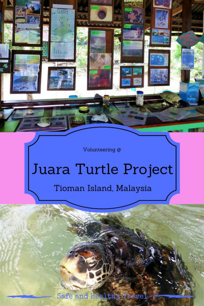 Juara Turtle Project - Tioman Island, Malaysia
