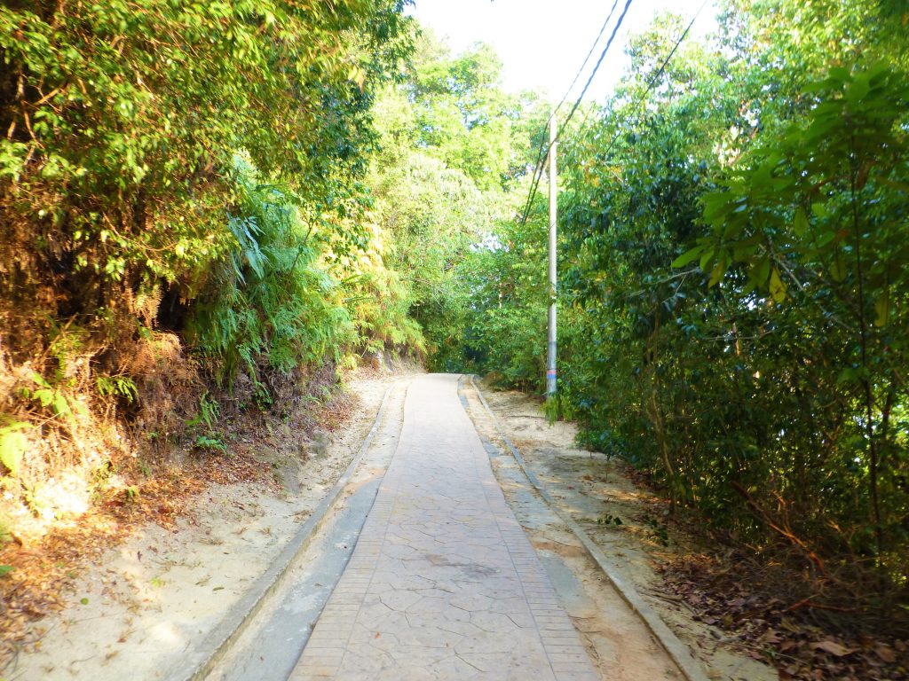 The National Park on Pulau Penang - Malaysia