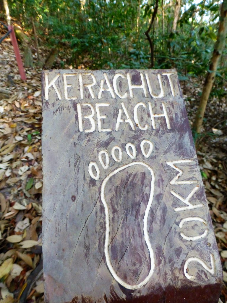 The National Park on Pulau Penang - Malaysia