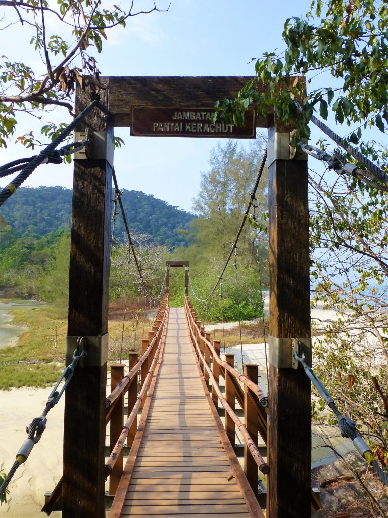 The National Park on Pulau Penang - Malaysia