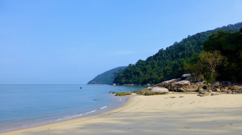 Hiking the Pulau Penang NP- Malaysia - Discover Penang's Taman Negara ...