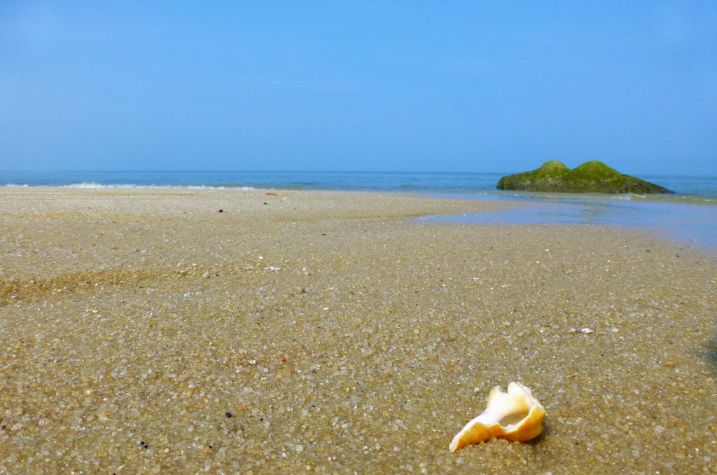 The National Park on Pulau Penang - Malaysia