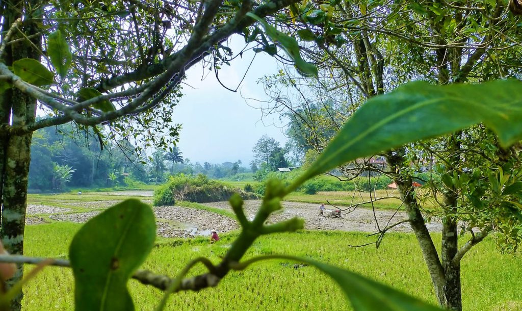 Harau Valley - Sumatra, Indonesia