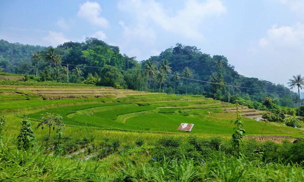 Harau Valley - Sumatra, Indonesia