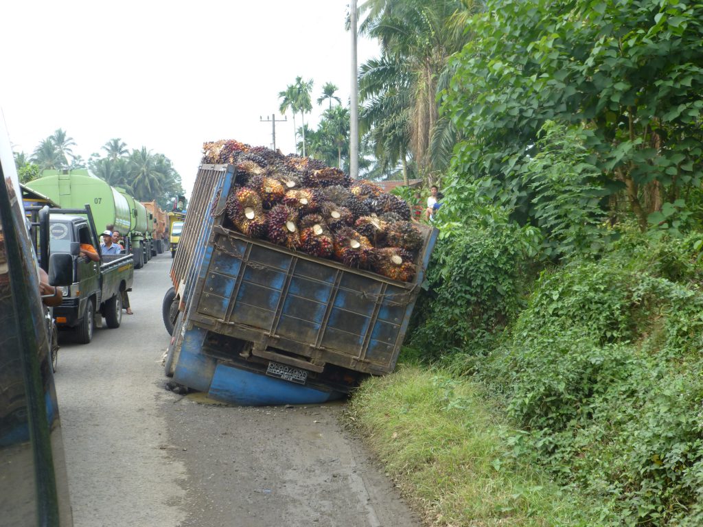 Vrachtverkeer van de palmolie plantages