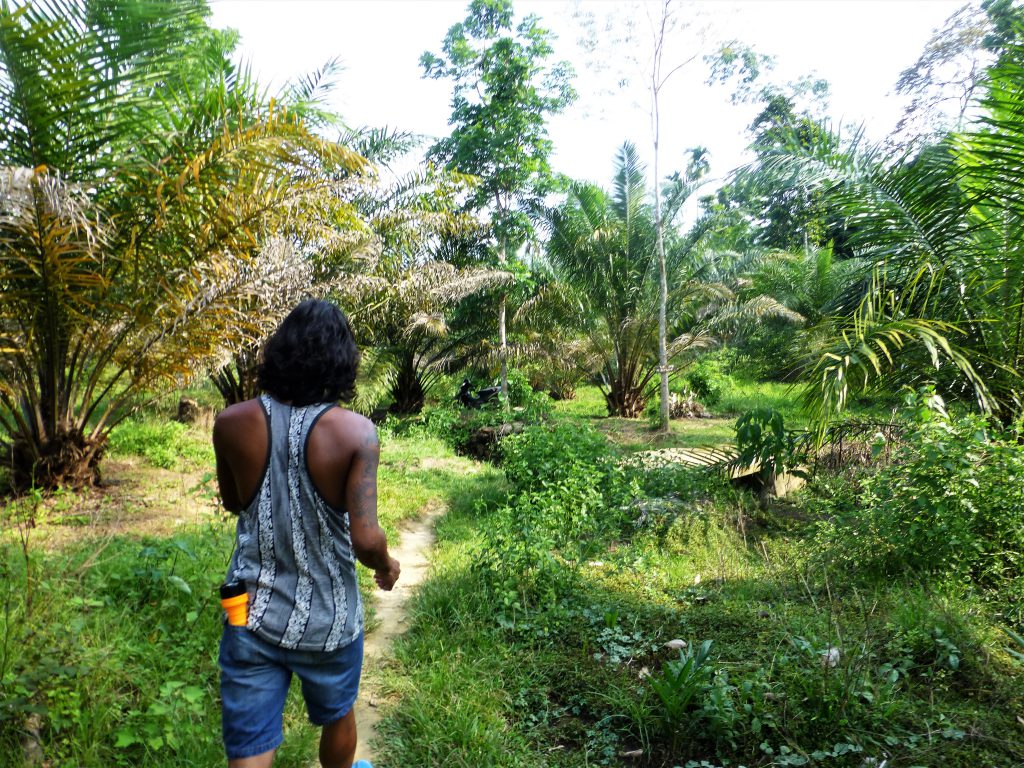 Bezoek aan de Vleermuisgrot in Bukit Lawang