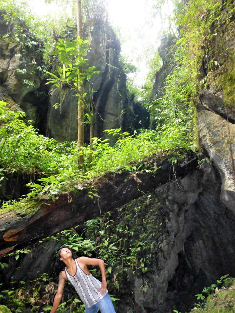 Batcave at Bukit Lawang