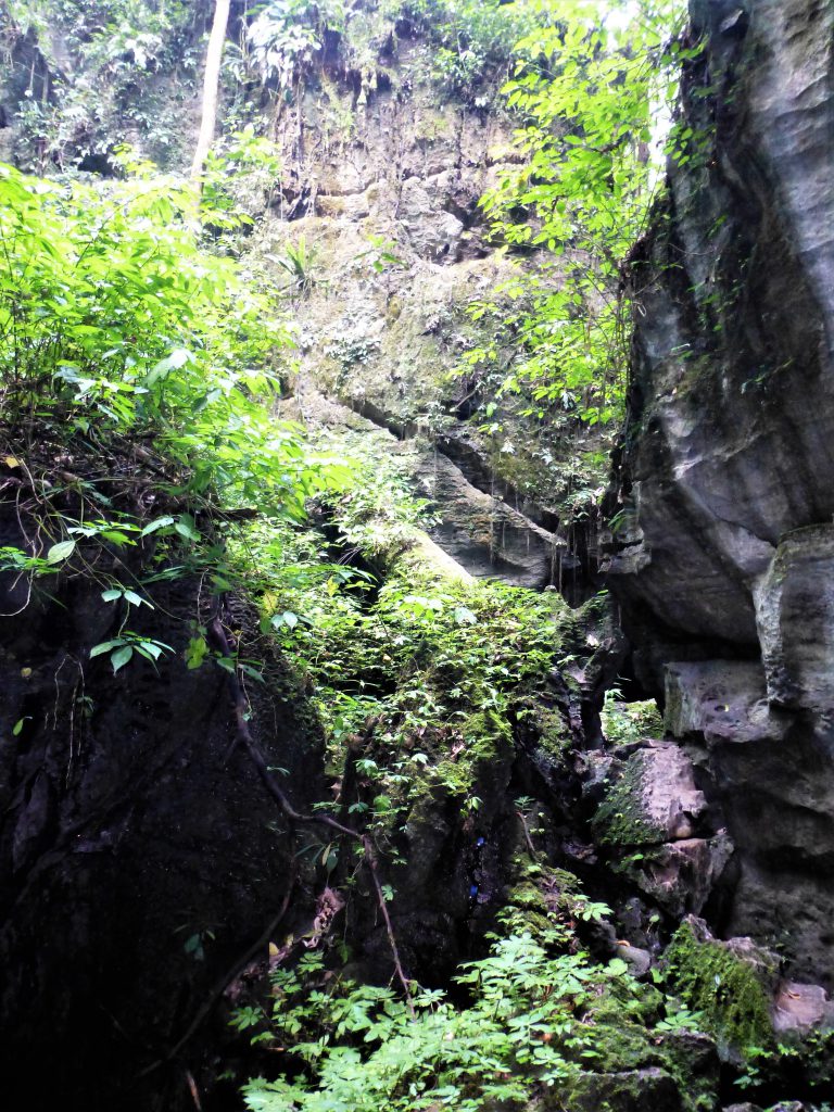 Batcave at Bukit Lawang