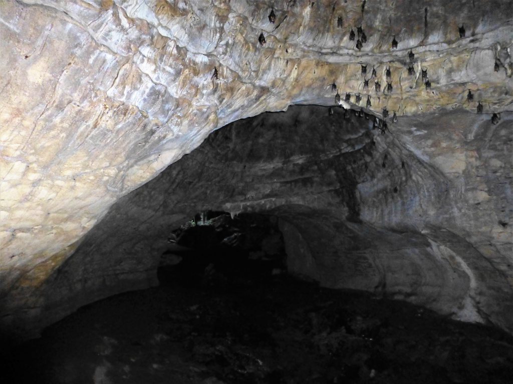 Batcave at Bukit Lawang