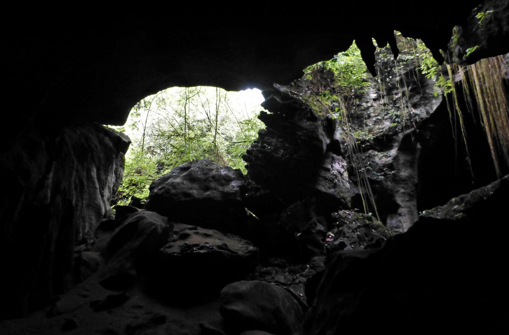 Batcave at Bukit Lawang