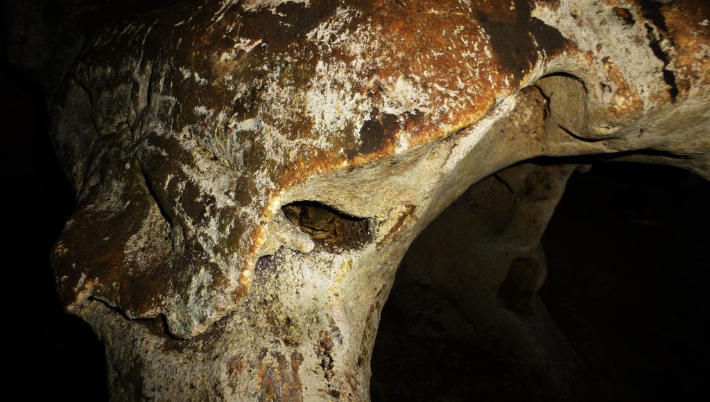 Batcave at Bukit Lawang