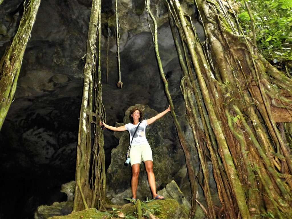 Batcave at Bukit Lawang