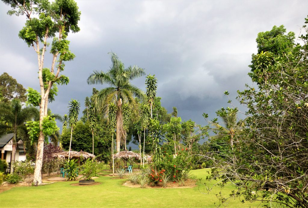 Bezoek aan de Vleermuisgrot in Bukit Lawang