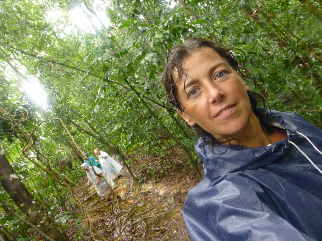 Seeing the Orangutan in the rainforest. Bukit Lawang - Indonesia