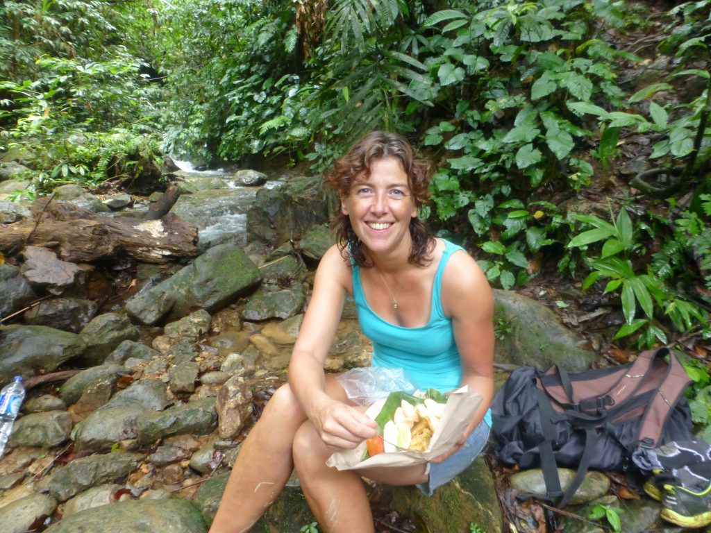 Seeing the Orangutan in the rainforest. Bukit Lawang - Indonesia