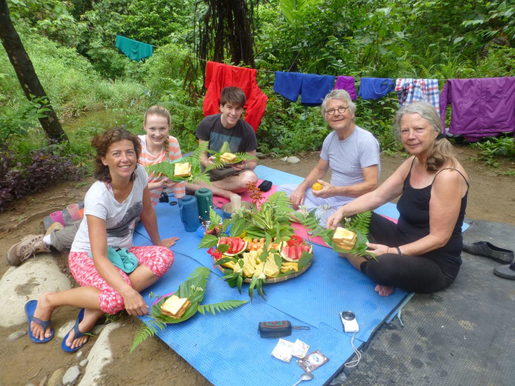 Seeing the Orangutan in the rainforest. Bukit Lawang - Indonesia