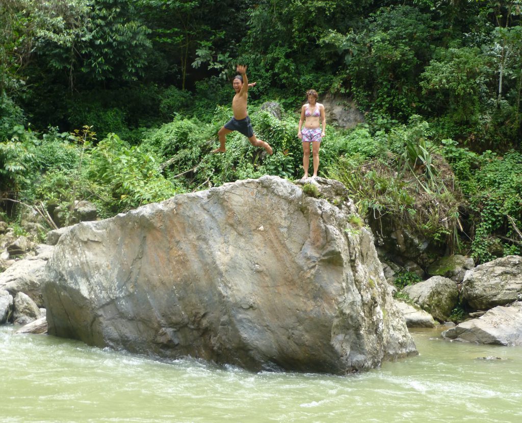 Seeing the Orangutan in the rainforest. Bukit Lawang - Indonesia