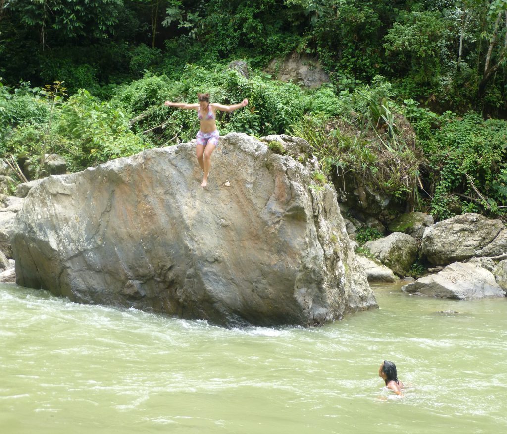 Seeing the Orangutan in the rainforest. Bukit Lawang - Indonesia