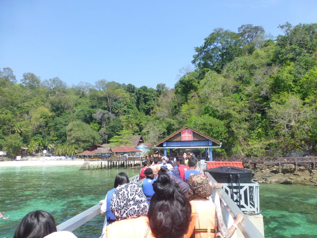 Snorkeling with the Blacktip Reef Shark - Pulau Payar