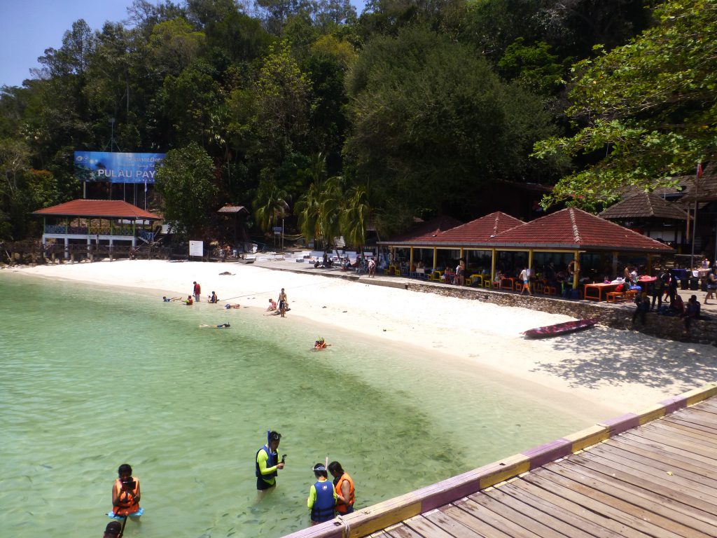 Snorkeling with the Blacktip Reef Shark - Pulau Payar