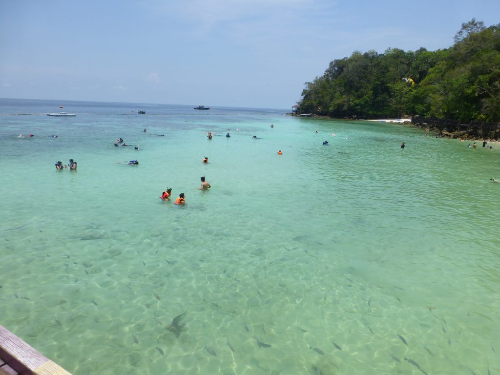 Snorkeling with the Blacktip Reef Shark - Pulau Payar