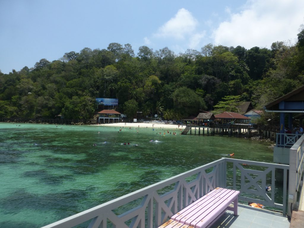 Snorkeling with the Blacktip Reef Shark - Pulau Payar