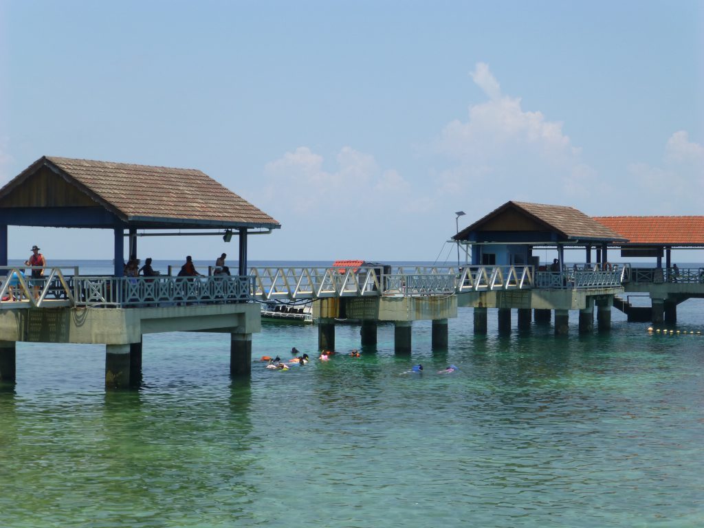 Snorkeling with the Blacktip Reef Shark at Pulau Payar